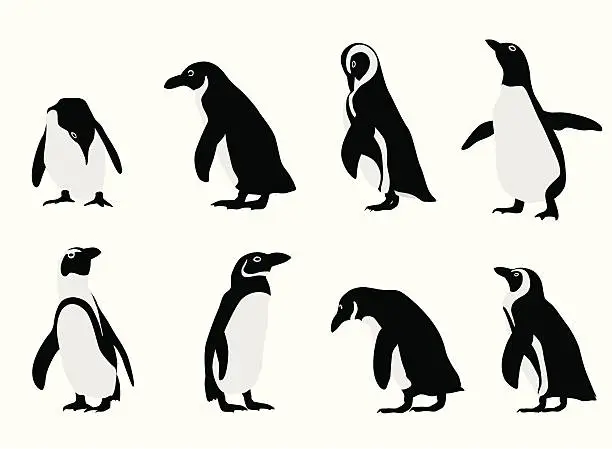 Vector illustration of Penguins Vector Silhouette