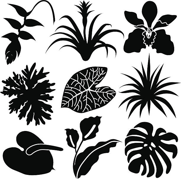 tropical leaves and flowers Vector icons of tropical leaves and flowers from the Amazon rainforest. heliconia stock illustrations