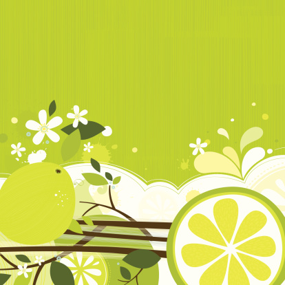 Vector background with tangy and juicy limes.