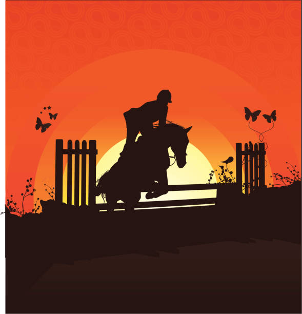 Horse Jumping sunset vector art illustration