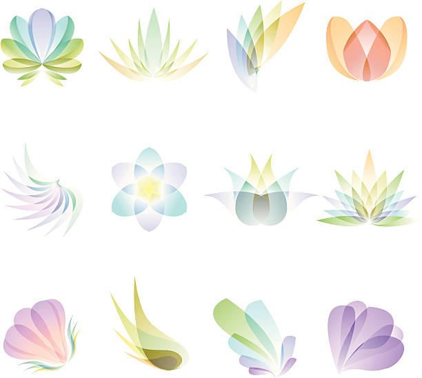 illustrazioni stock, clip art, cartoni animati e icone di tendenza di traslucido astratto fiori - translucent
