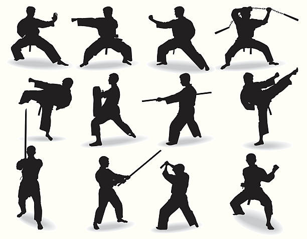 ilustraciones, imágenes clip art, dibujos animados e iconos de stock de conocida de artes marciales - karate kicking tae kwon do martial