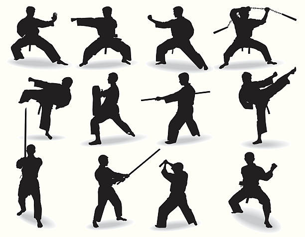 ilustrações de stock, clip art, desenhos animados e ícones de conhecido artes marciais - karate kickboxing martial arts silhouette