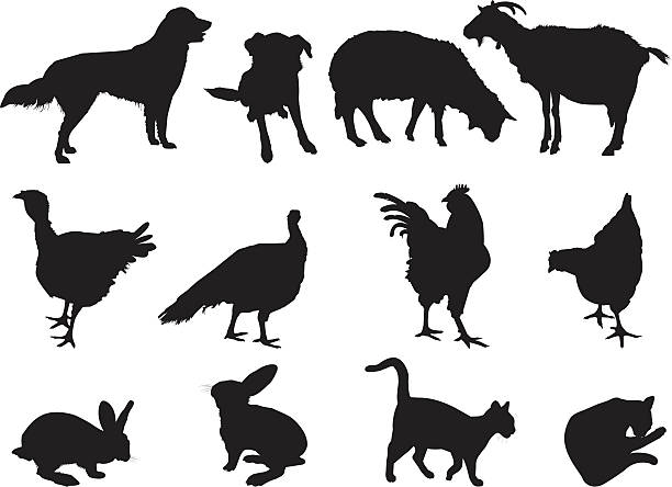 istock An icon of various domestic animals in black and white  165736229