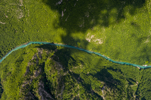 Aerial top view of Tara River deep canyon and forest mountain in northern Montenegro