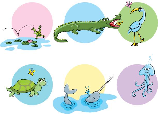 귀여운 수작업 동물 설정 - frog jumping pond water lily stock illustrations
