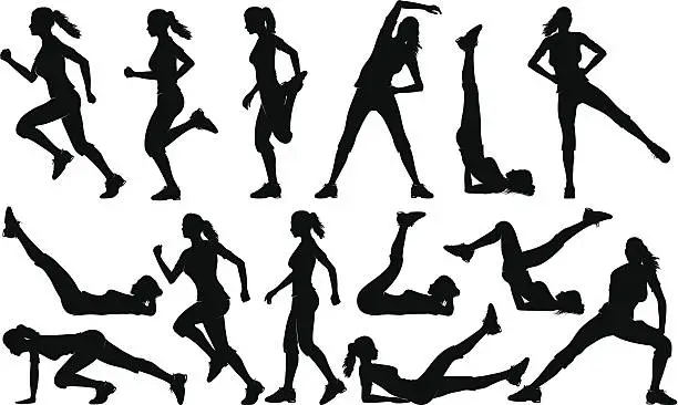 Vector illustration of Gym Exercises Silhouettes (female)