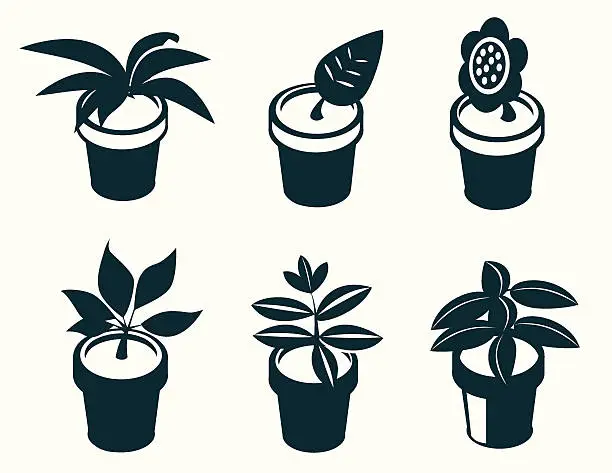 Vector illustration of Flowers in pots