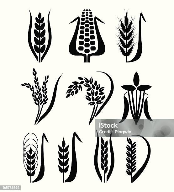 Ilustración de Bw Colección De Cereales y más Vectores Libres de Derechos de Avena - Cultivo - Avena - Cultivo, Arroz - Grano, Arroz - Comida básica