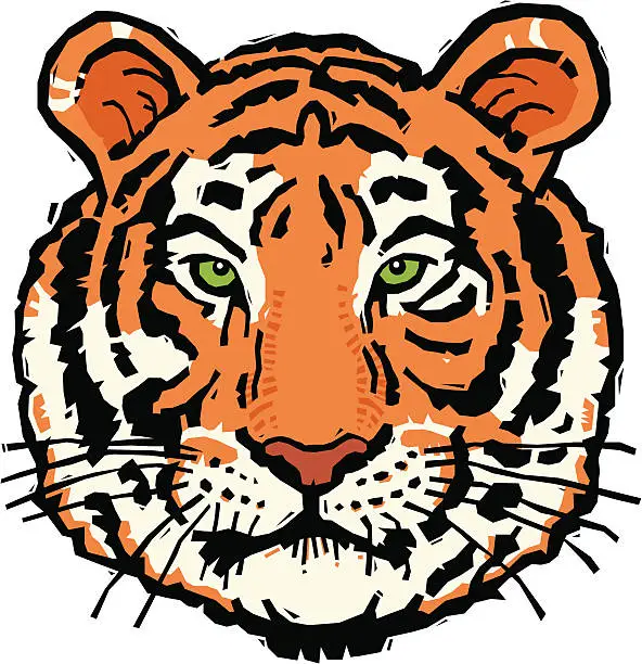 Vector illustration of Tiger Woodcut