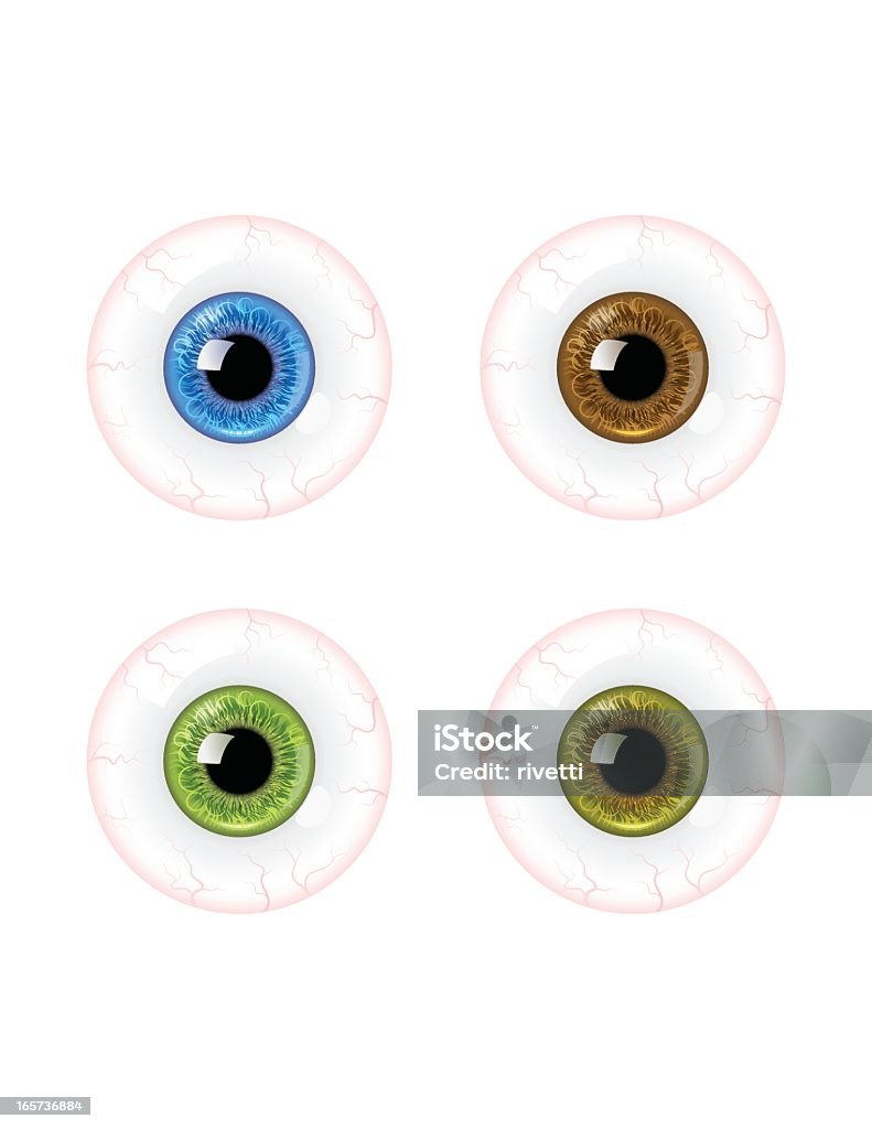 Détaillée Globe oculaire - clipart vectoriel de Blanc libre de droits