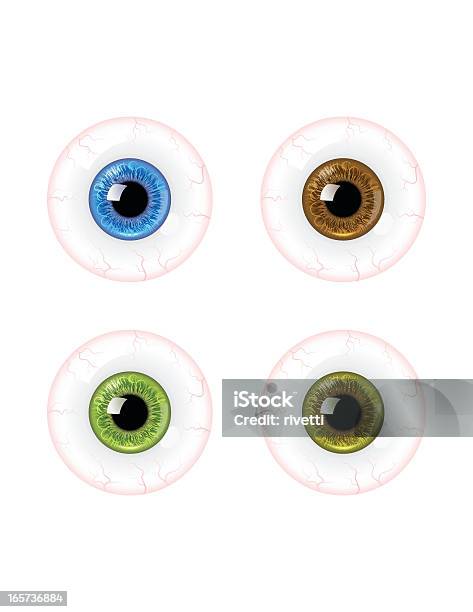 Détaillée Globe Oculaire Vecteurs libres de droits et plus d'images vectorielles de Blanc - Blanc, Bleu, Brillant