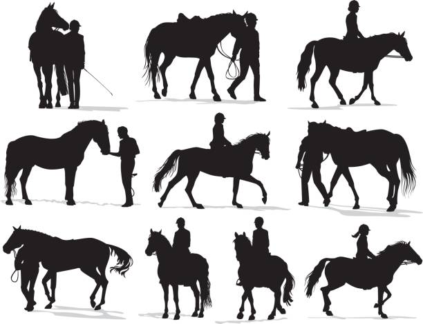 ilustraciones, imágenes clip art, dibujos animados e iconos de stock de personas con caballos silueta de - halter