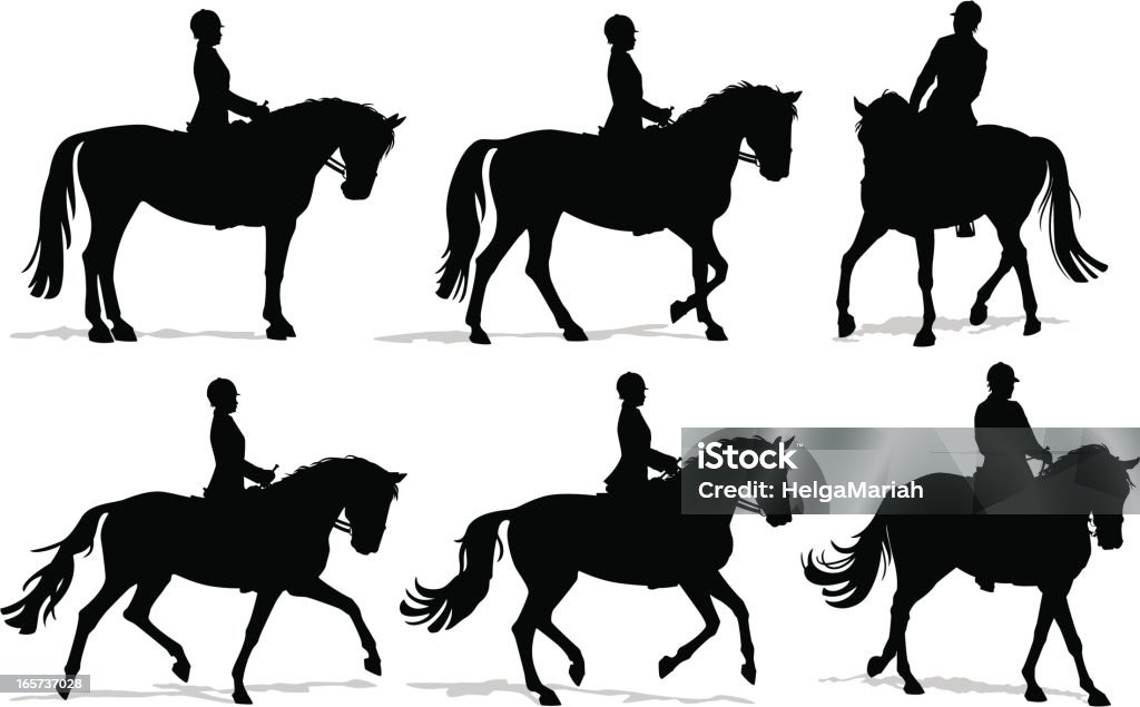 Dressage Horse and Rider Silhouette Set Detailed vector silhouettes of a person riding a horse in walk, trot and canter/gallop during an English riding lesson. Horse stock vector