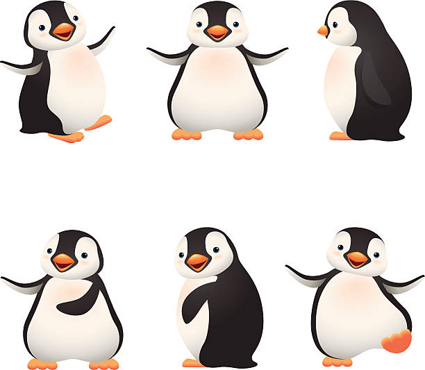 Cartoon graphics of baby penguins - 6 poses of baby penguins penguin stock illustrations