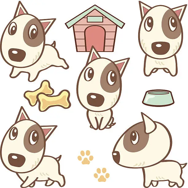 Vector illustration of Five poses of Bullterrier