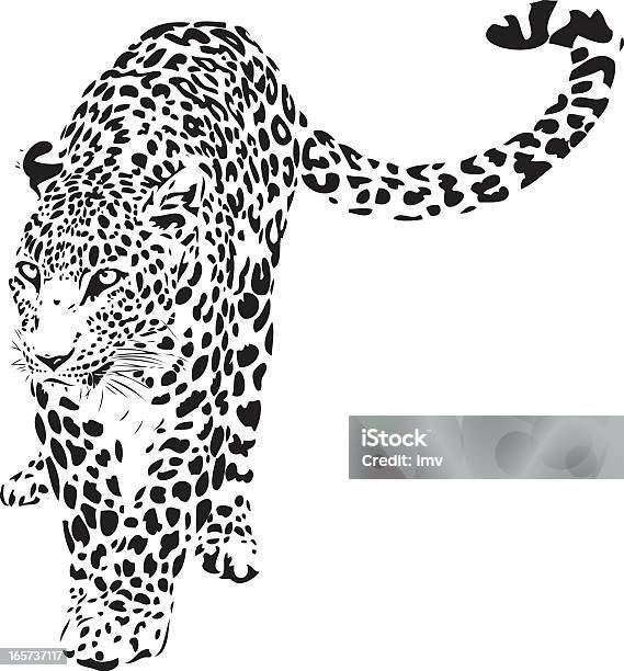 레오퍼드 일러스트 표범에 대한 스톡 벡터 아트 및 기타 이미지 - 표범, 0명, 검은색
