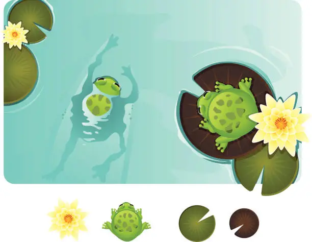 Vector illustration of Frogs in a Pond