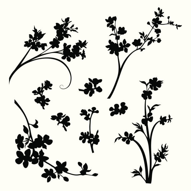 illustrations, cliparts, dessins animés et icônes de épanouie les branches et tête - fleur-pommier