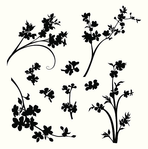 illustrazioni stock, clip art, cartoni animati e icone di tendenza di teste blossomed rami e fiori - blossom growth single flower cherry blossom