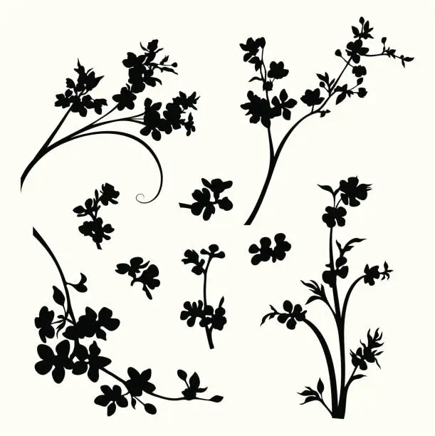 Vector illustration of Blossomed branches and flower heads