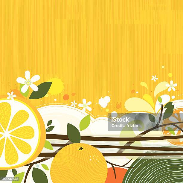 Orange Backgound Stock Illustration - Download Image Now - Backgrounds, Orange - Fruit, Twig