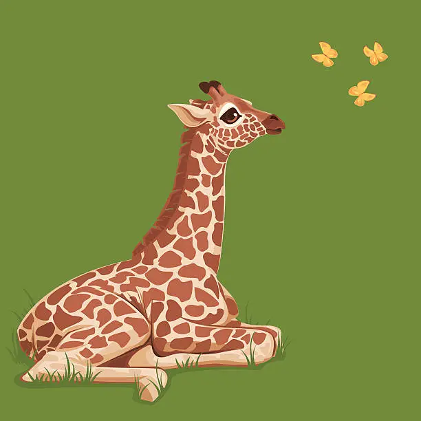 Vector illustration of Baby Giraffe