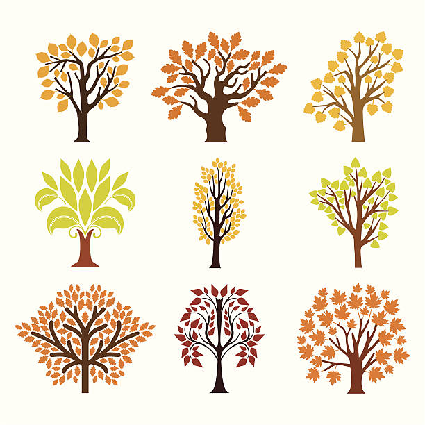 herbst-bäume - poplar tree forest oak tree autumn stock-grafiken, -clipart, -cartoons und -symbole