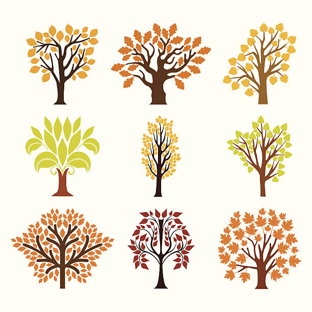 Fall trees Collection of autumn trees. simple tree silhouette stock illustrations