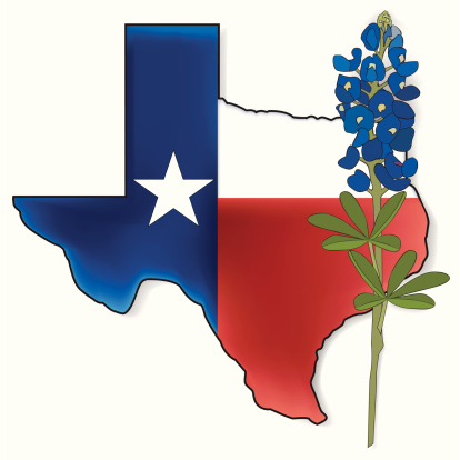 A map of texas on the outline of the state with a bluebonnet flower (state flower ) in the foreground