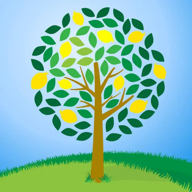 Vector illustration of Lemon Tree