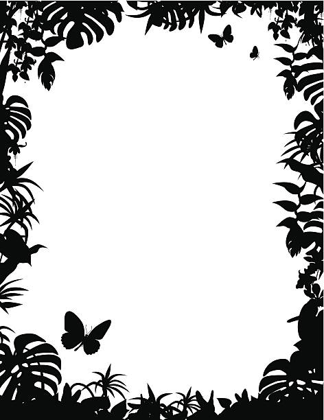 illustrazioni stock, clip art, cartoni animati e icone di tendenza di cornice tropicale - tropical rainforest tropical climate flower frame