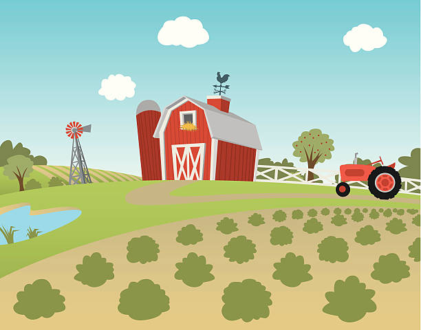 Cartoon farm landscape with fields and tractor A vector cartoon illustration of a farm.  Perfect for a background. a farm stock illustrations