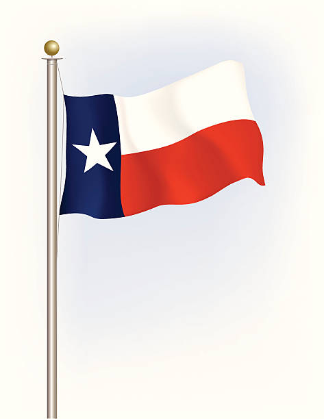 Texas State Flag vector art illustration
