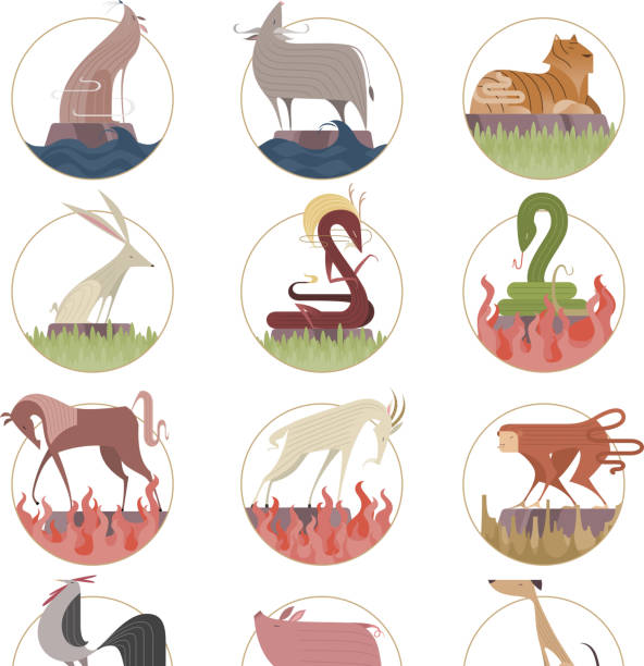 Chinese zodiac Chinese zodiac stylized icon collection. fire rabbit zodiac stock illustrations