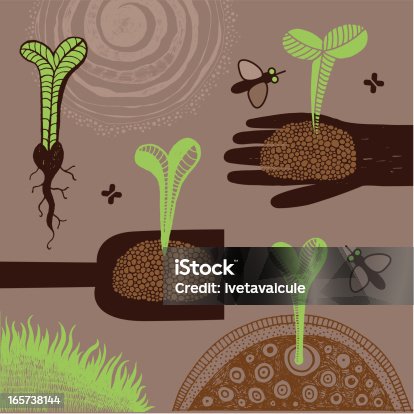 istock Young plants 165738144
