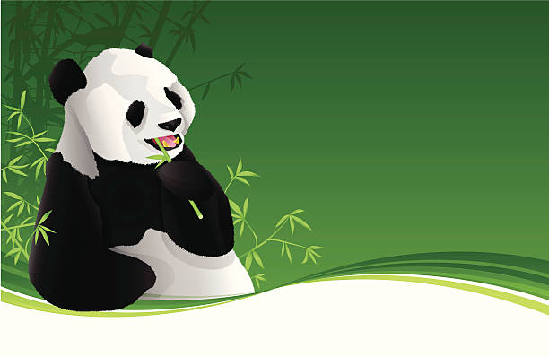 ilustrações, clipart, desenhos animados e ícones de fundo de panda - bamboo shoot leaf bamboo green