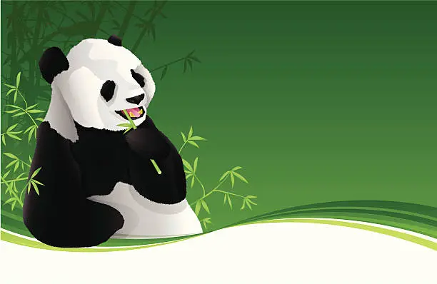 Vector illustration of Panda Background