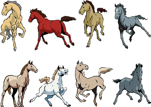 Vector illustration of Horses