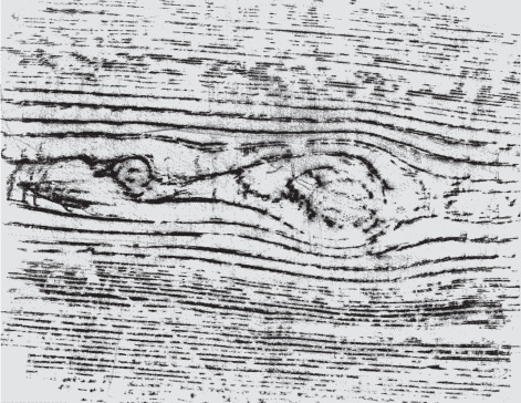 this is a illustration of old wood. 