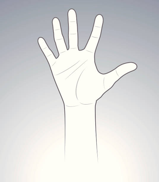 ilustrações de stock, clip art, desenhos animados e ícones de contar mão cinco - hand sign index finger human finger human thumb