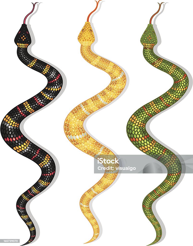 Serpent - clipart vectoriel de Serpent libre de droits