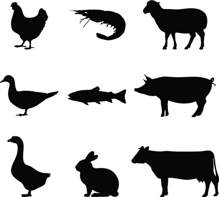 Black silhouette of farm and sea animals on white