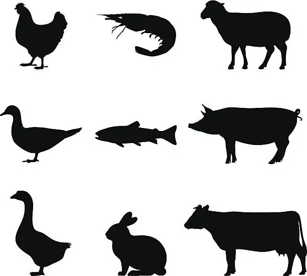 Vector illustration of Black silhouette of farm and sea animals on white