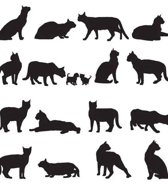 Vector illustration of Set of cats silhouette on white background