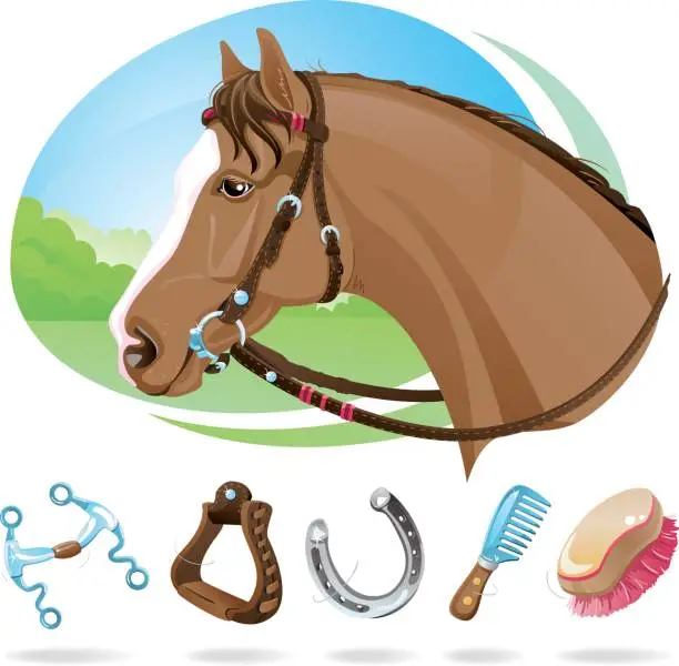 Vector illustration of Horse with Western Riding Equipment