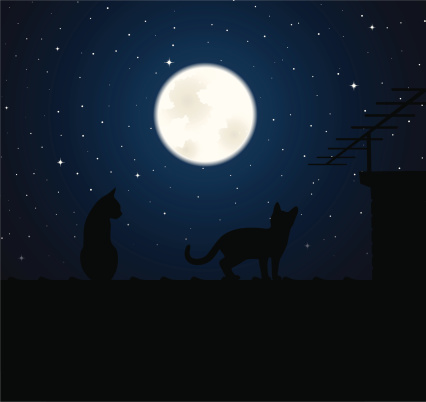 Two cats up on a roof with chimney and antenna are looking at a bright full moon. Image contains one radial illustrator gradient.