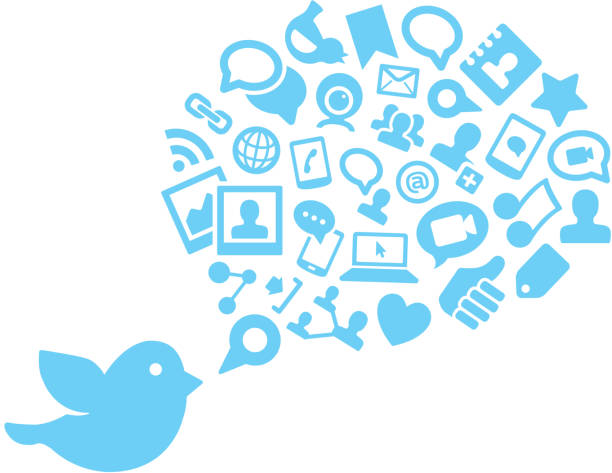 the twitter bird icon and social media graphics - twitter 幅插畫檔、美工圖案、卡通及圖標