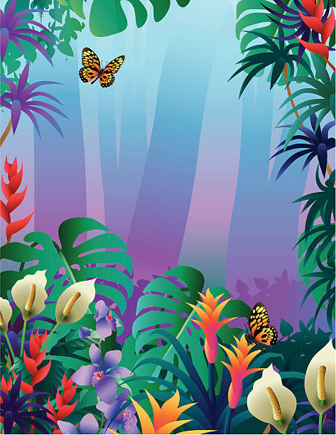 illustrazioni stock, clip art, cartoni animati e icone di tendenza di misty foresta amazzonica - papilio zagreus