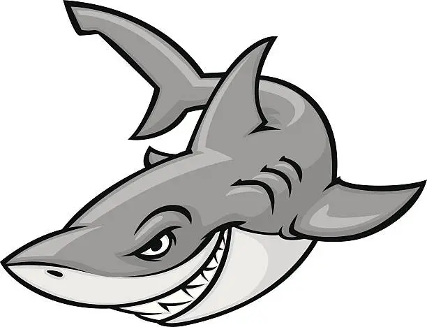 Vector illustration of great white
